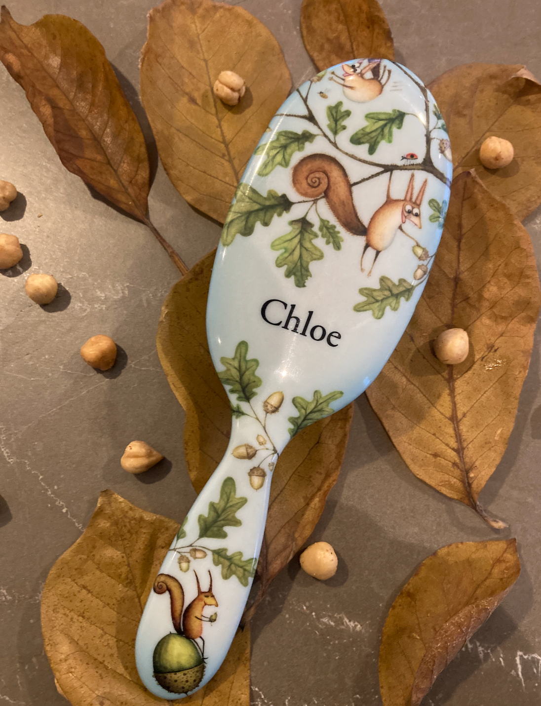 Squirrels Personalized Hairbrush